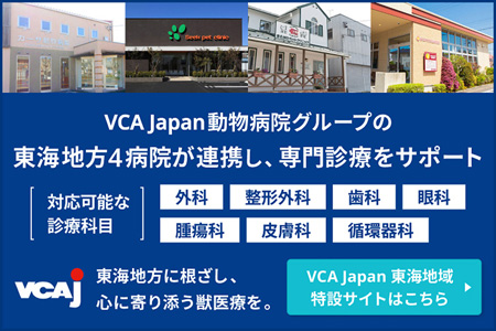 ネット予約はこちら